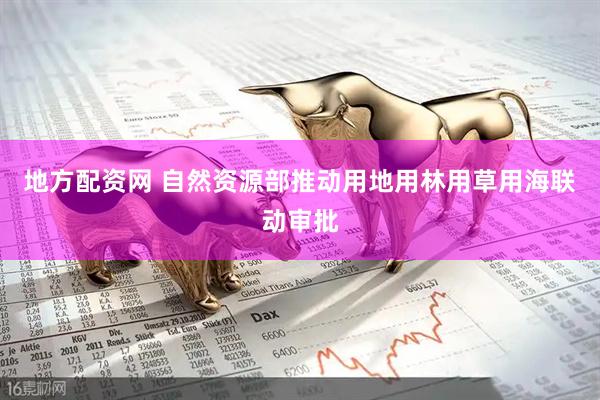 地方配资网 自然资源部推动用地用林用草用海联动审批